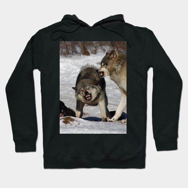 Back off! - Timber Wolf Hoodie by Jim Cumming